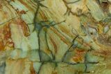 Gary Green Jasper (Larsonite) Bog Wood Slab - Oregon #371002-1
